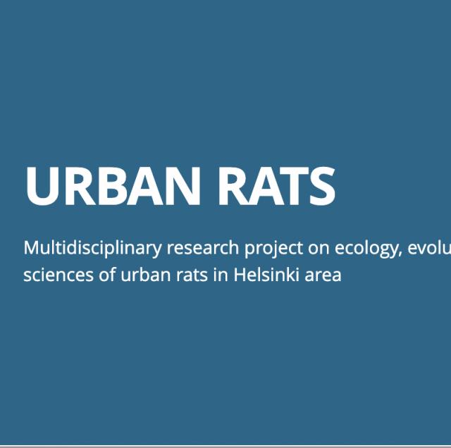 Urban rats-projektet